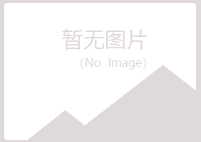 铜川山柳化学有限公司